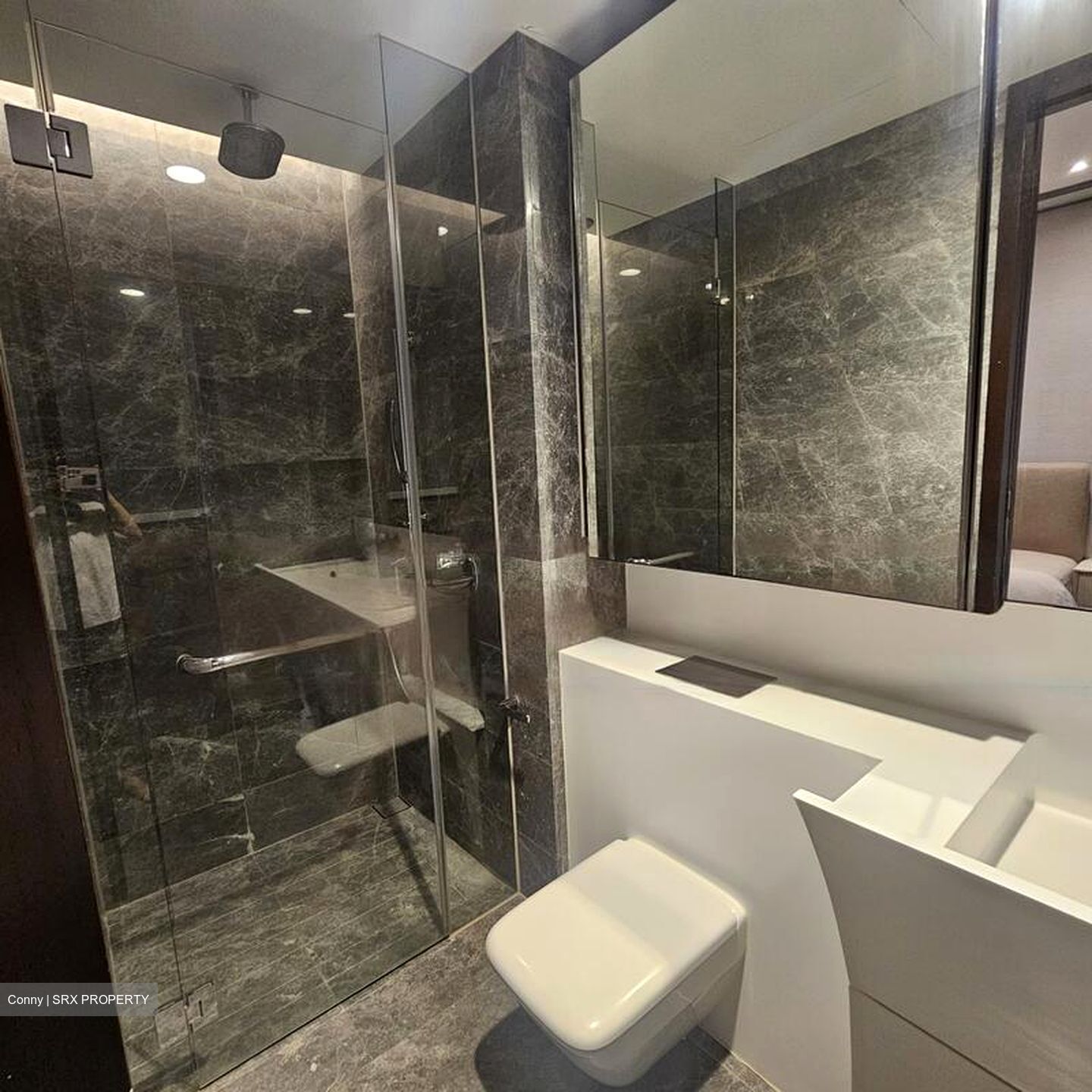 Cairnhill Nine (D9), Apartment #470788411